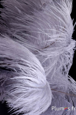 Autruche - 30-40 cm - gris 